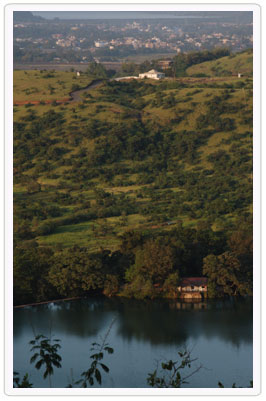 Home-Image